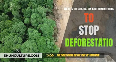 Australian Government's Efforts to Halt Deforestation