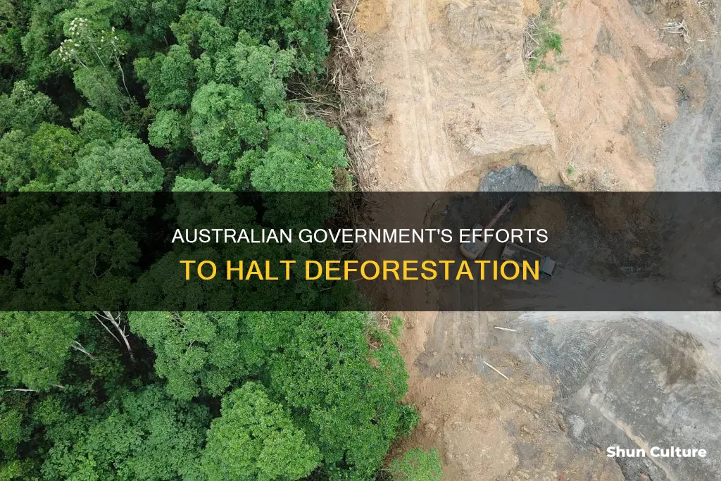 what is the australian government doing to stop deforestation