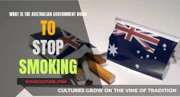Australian Government's Anti-Smoking Initiatives: An Overview