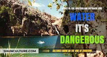 Exploring Australia's Outback: Water Scarcity and Hidden Dangers Revealed