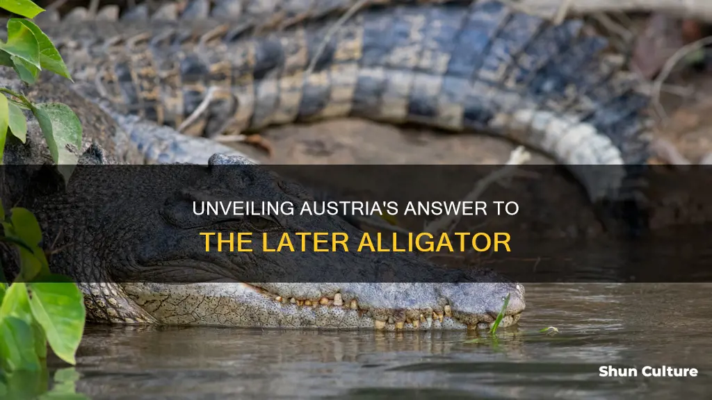 what is the austrian equivilant to later alligator