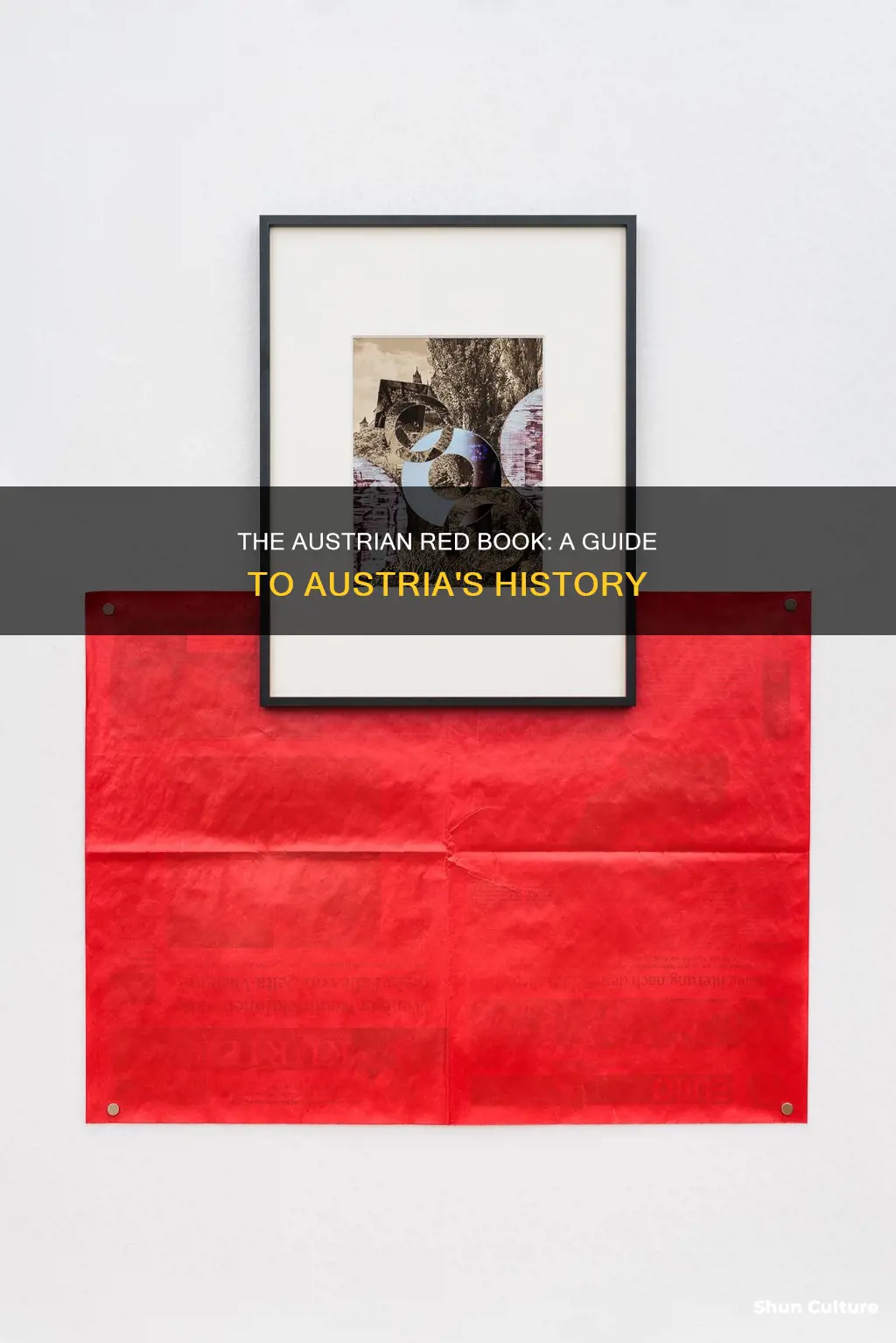 what is the austrian red book