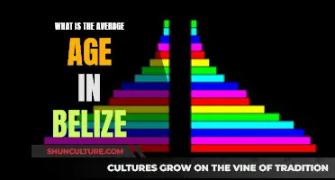 The Youthful Population of Belize: Understanding the Country's Age Dynamics