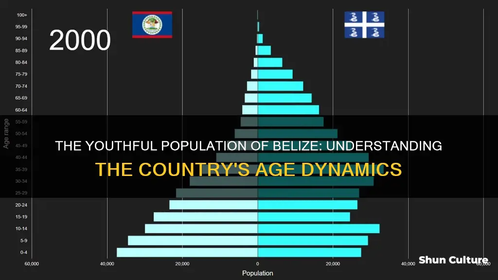 what is the average age in belize