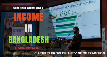 Exploring Bangladesh's Average Annual Income: Trends and Insights
