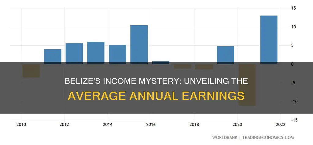 what is the average annual income in belize