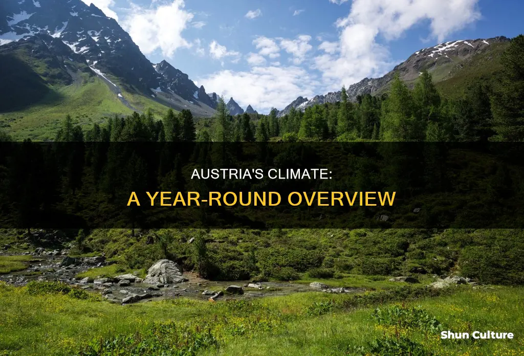 what is the average climate I austria