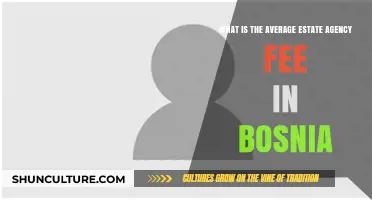 Understanding Estate Agency Fees in Bosnia: Average Costs Explained