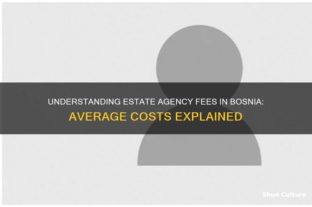 what is the average estate agency fee in bosnia