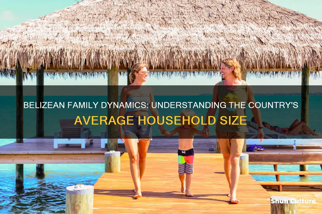 what is the average family size in belize