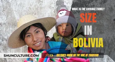 Exploring the Typical Family Dynamics in Bolivia