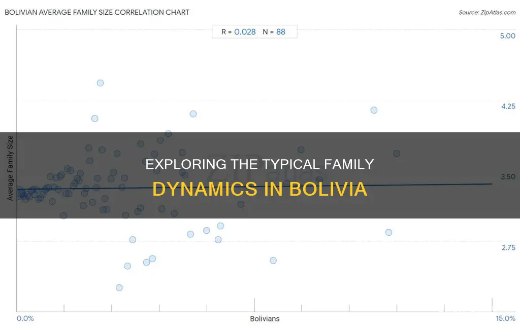 what is the average family size in bolivia