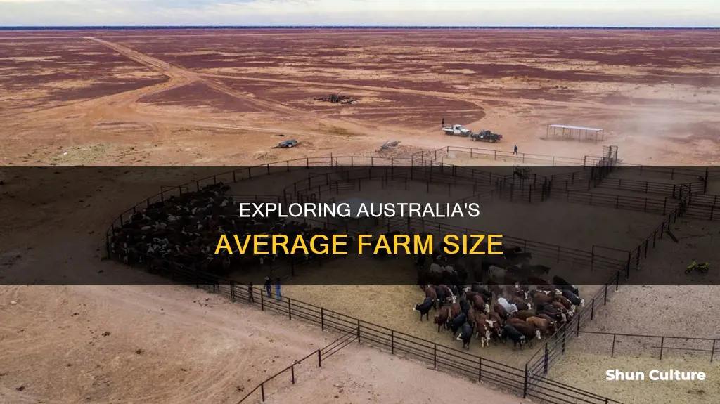 what is the average farm size in australia
