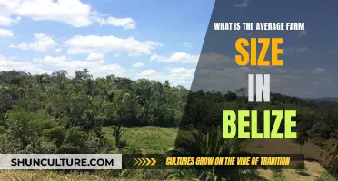 Belizean Farmland: Size and Scale