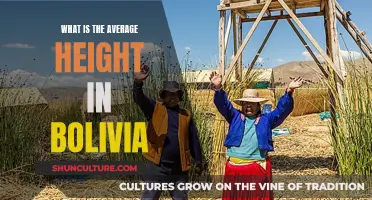 The Heights of Bolivia: Average Stature Explored