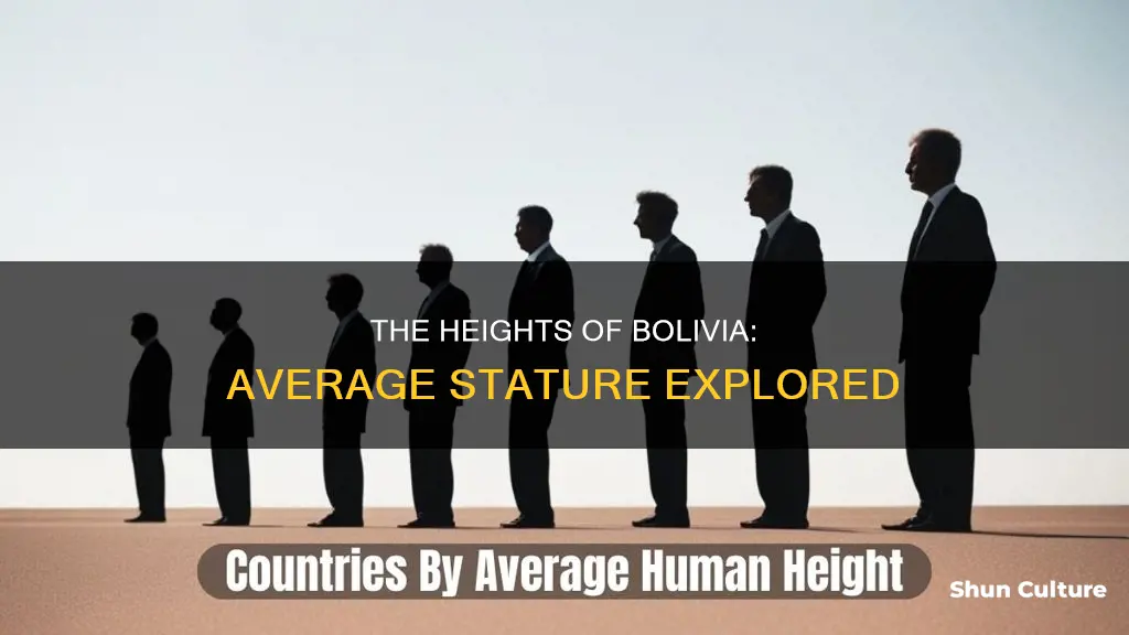 what is the average height in bolivia