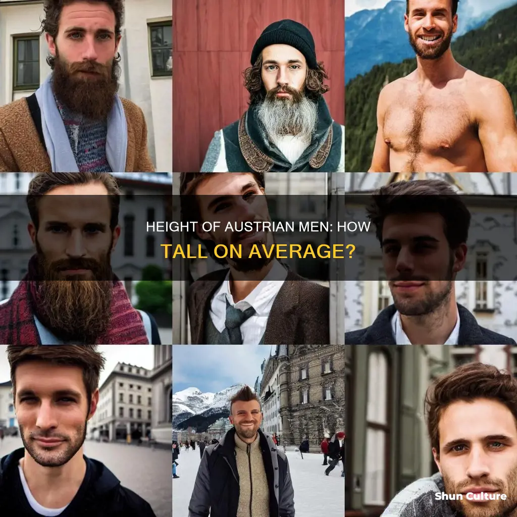 what is the average height of a austrian man