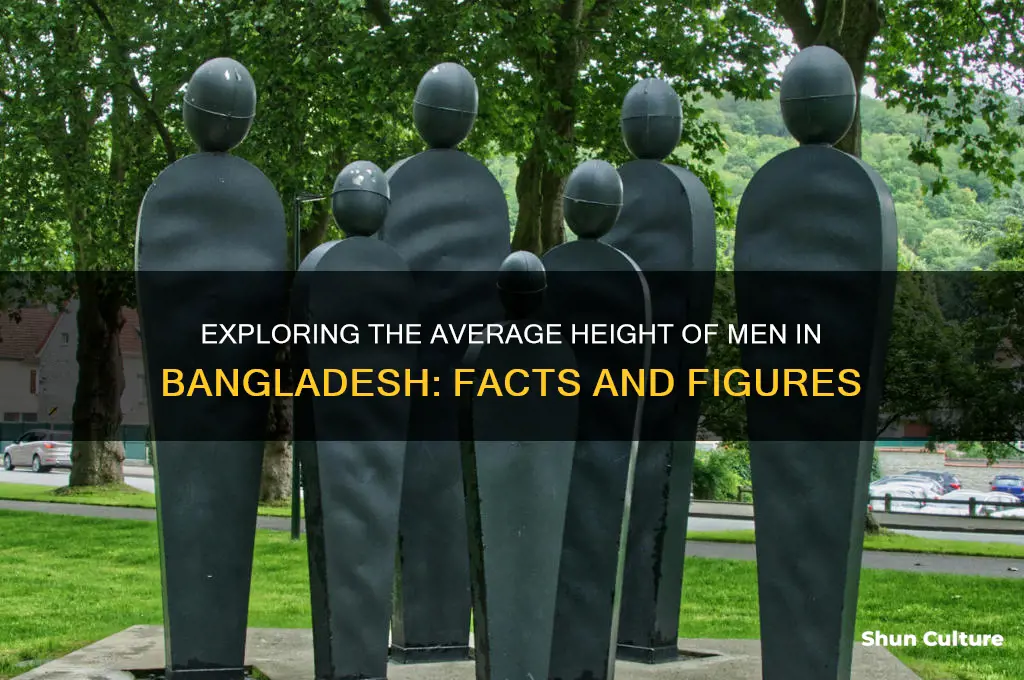 what is the average height of a man in bangladesh