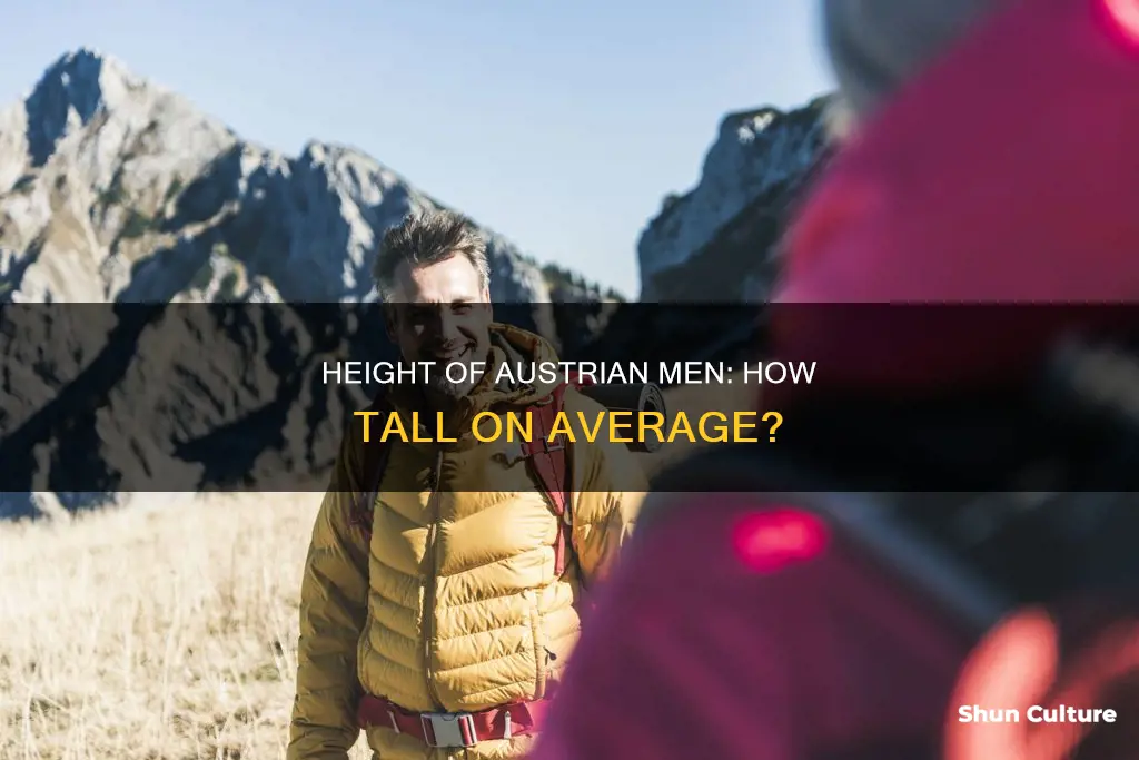 what is the average height of an austrien man