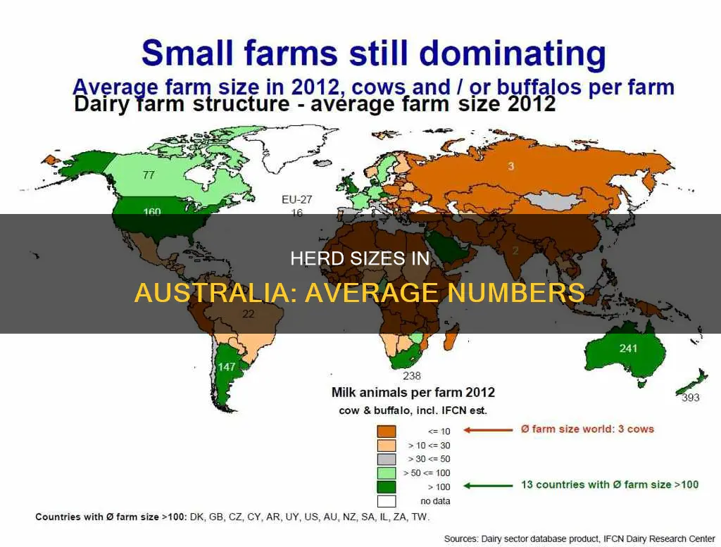 what is the average herd size in australia