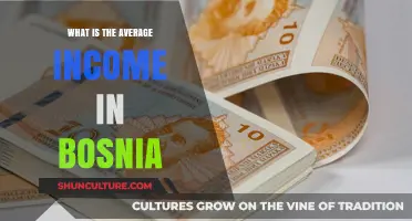 Understanding Bosnia's Average Income: A Comprehensive Economic Overview