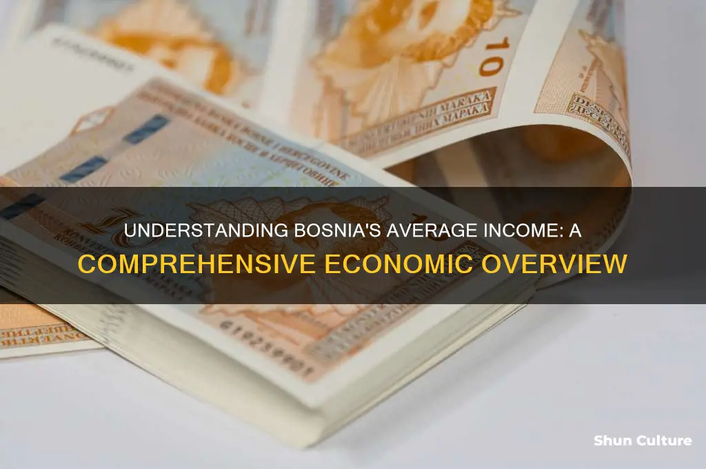 what is the average income in bosnia
