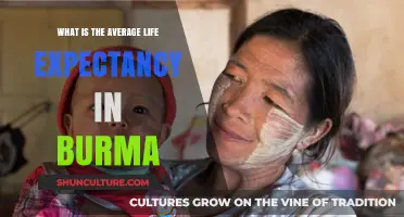 Exploring Life Expectancy in Burma: A Comprehensive Overview