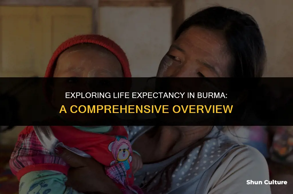 what is the average life expectancy in burma