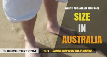 Foot Facts: Average Male Feet in Australia
