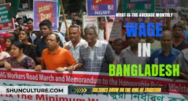Exploring Bangladesh's Average Monthly Wage: Current Trends and Insights