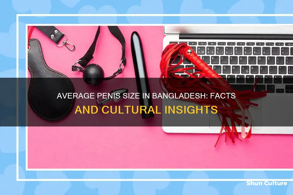 what is the average penis size in bangladesh
