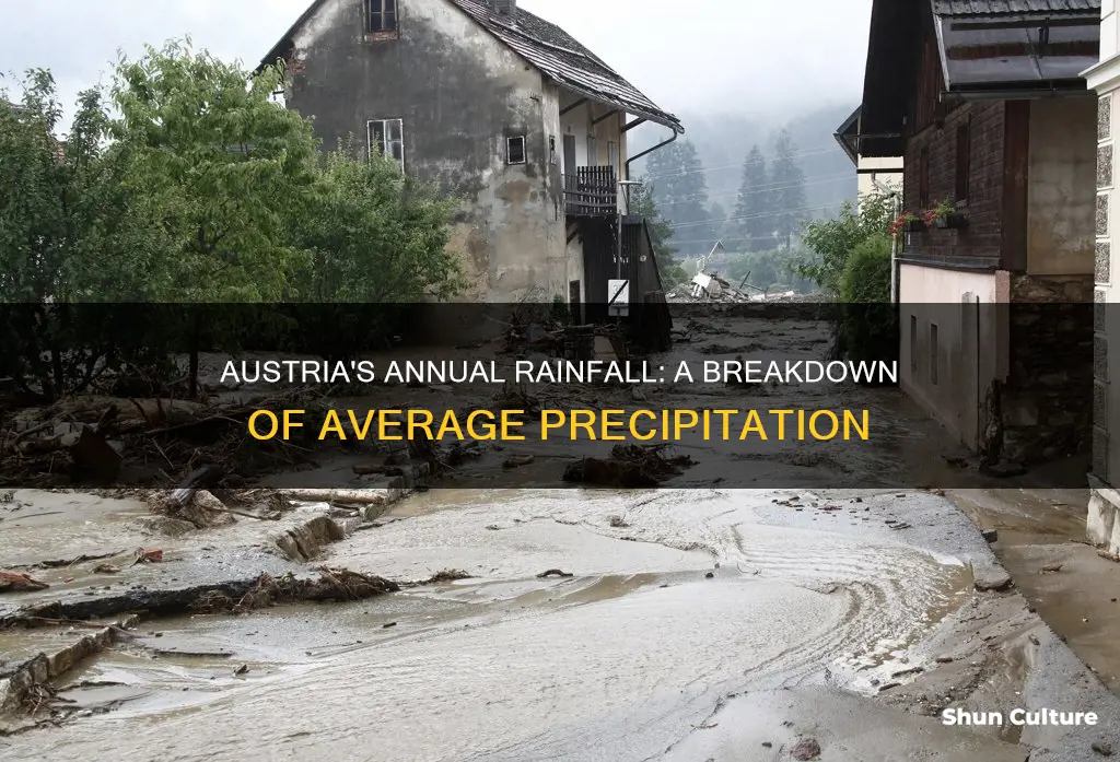 what is the average precipitation in austria