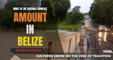 Belize's Soaking Season: Understanding the Country's Rainfall Patterns