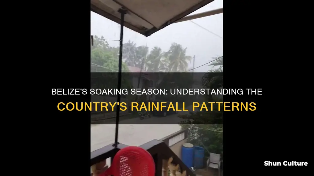 what is the average rainfall amount in belize