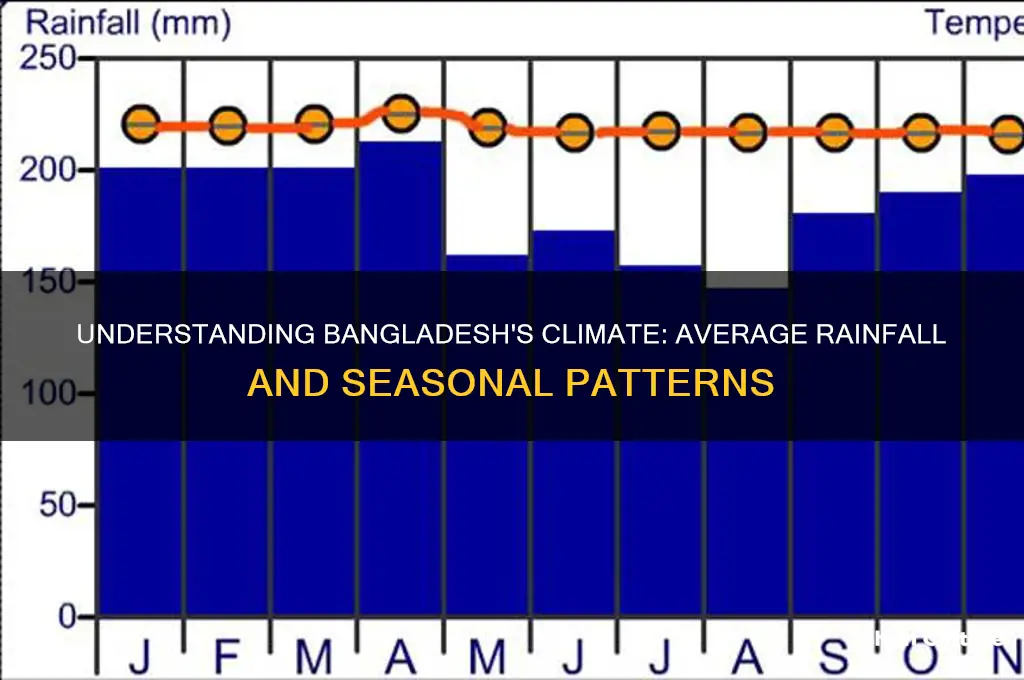 what is the average rainfall in bangladesh