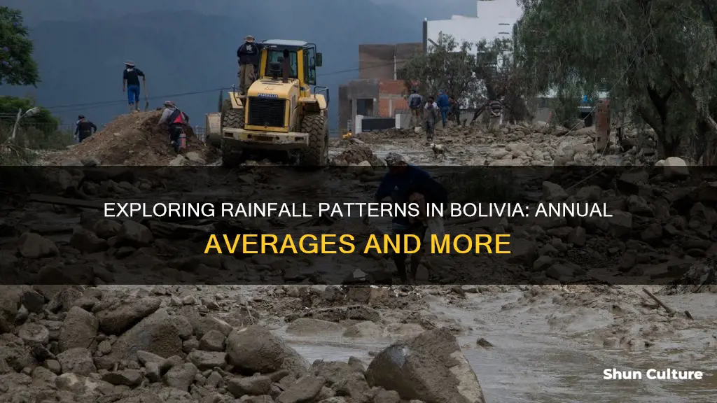 what is the average rainfall in bolivia