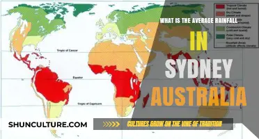 Sydney's Average Rainfall: Understanding the City's Climate Patterns