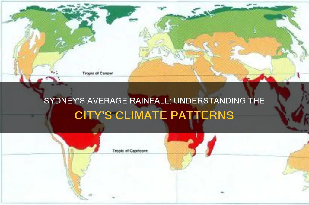 what is the average rainfall in sydney australia