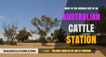 Cattle Stations: How Big Are Australia's Ranches?