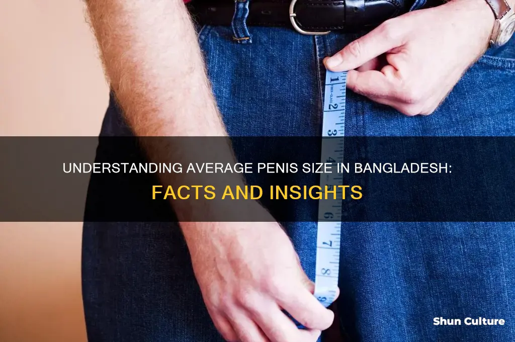 what is the average size of pennis in bangladesh
