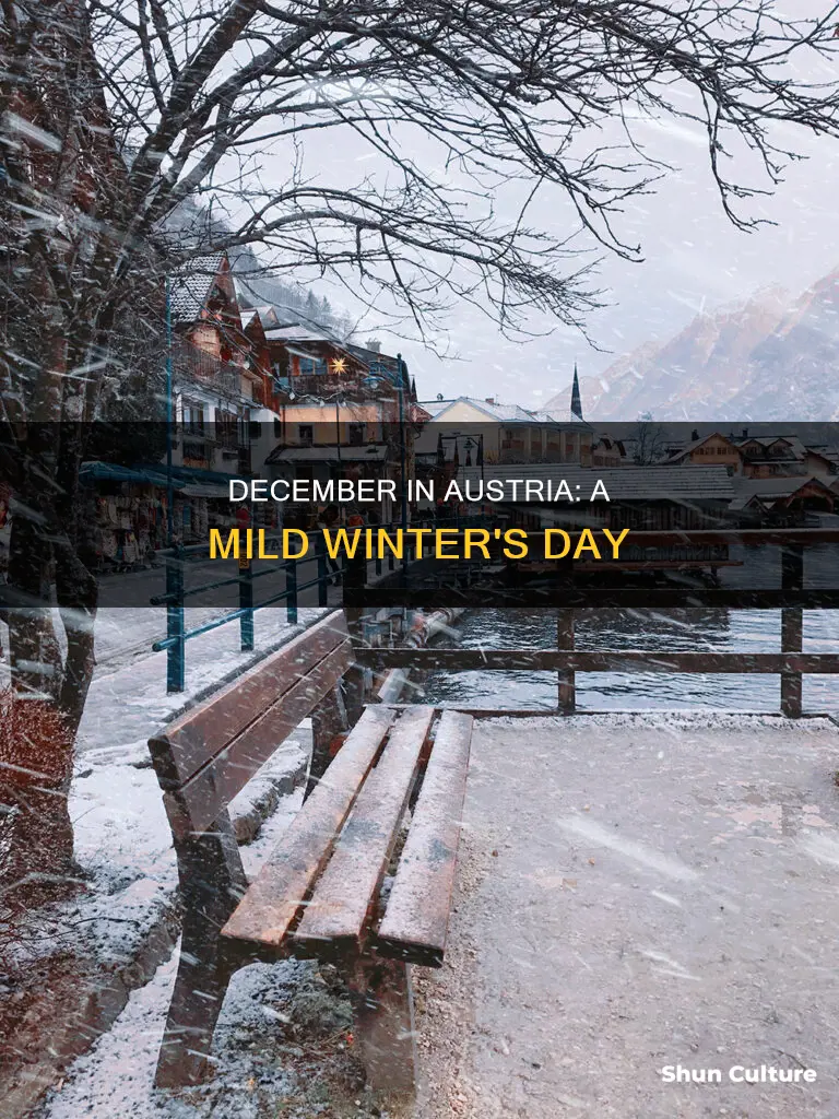 what is the average tempature in dec in austria