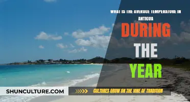 Antigua's Year-Round Climate: Average Temperatures and Seasonal Variations