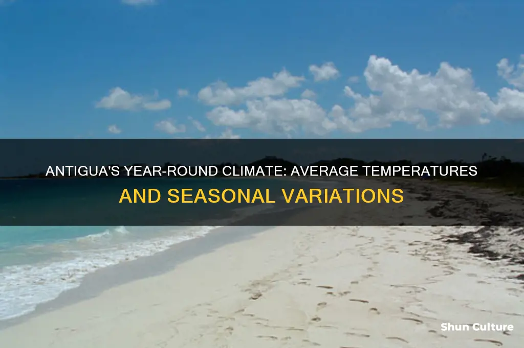what is the average temperature in antigua during the year