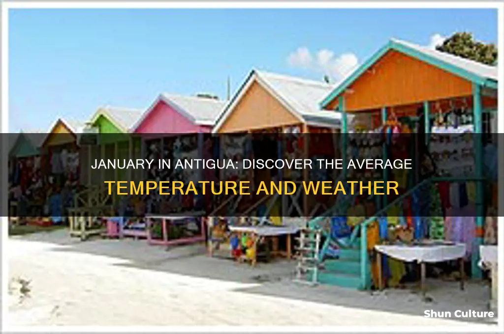 what is the average temperature in antigua in january