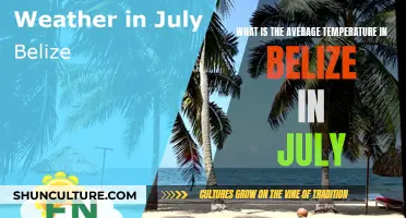 Belize's July Weather: Sunny and Warm