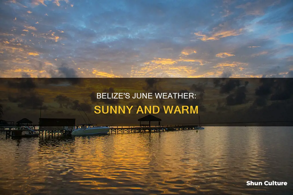 what is the average temperature in belize in june