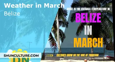 Belize's March Weather: Sunny, Warm, and Perfect for a Getaway