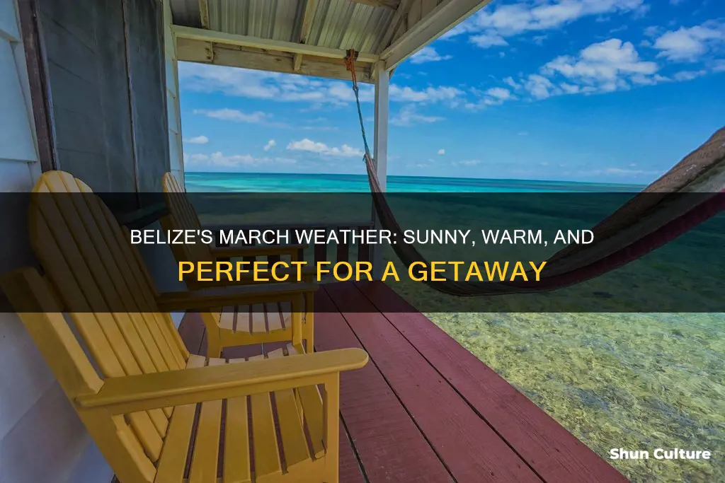 what is the average temperature in belize in march