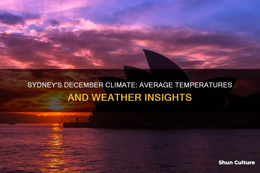 what is the average temperature in sydney australia in december