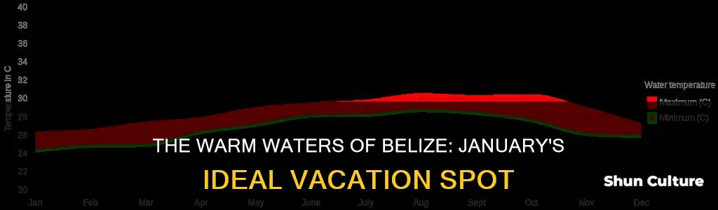 what is the average water temperature in belize in january